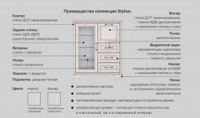 Прихожая модульная Стилиус в Чесме - chesma.magazinmebel.ru | фото - изображение 2